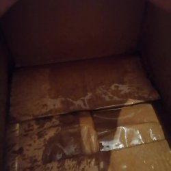Cardboard Box Porn - Cardboard - Porn Photos & Videos - EroMe