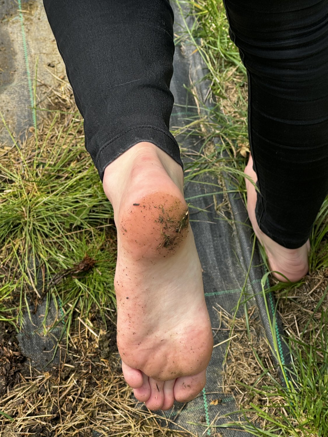 wwyd with whitetoeprincess88 feet? (link on comments) #JSXhI9Mr
